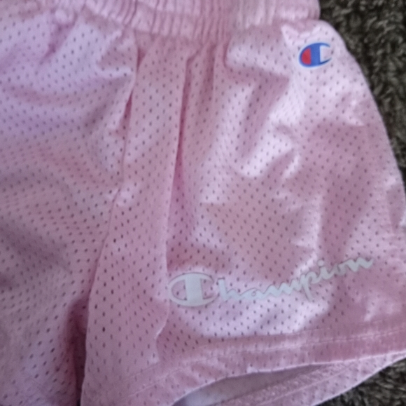 Champ - Picture 2 of 2